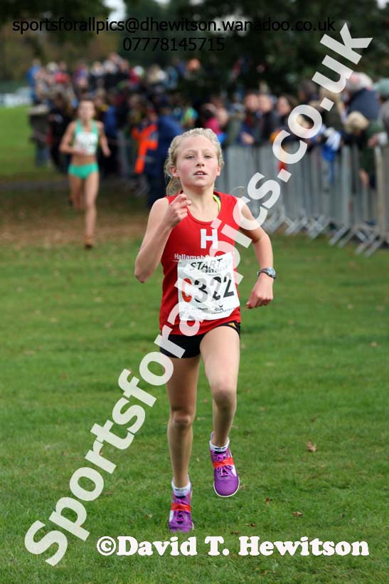 Girls under-13s Northern Cross Country Relays, Graves Park, Sheffield. Photo: David T. Hewitson/Sports for All Pics